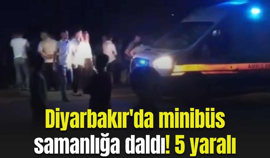 Diyarbakır'da minibüs samanlığa daldı! 5 yaralı